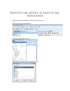 EXECUTE  SQL QUERY IN  ORACLE SQL DEVELOP ER