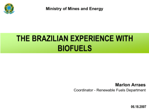 THE BRAZILIAN EXPERIENCE WITH BIOFUELS Marlon Arraes Ministry of Mines and Energy