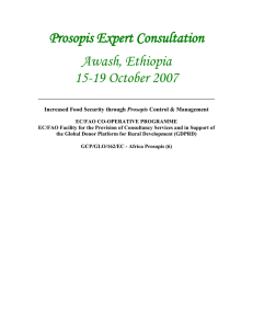 Prosopis Expert Consultation Awash, Ethiopia 15-19 October 2007