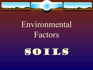 Environmental Factors Soils