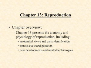 Chapter 13: Reproduction • Chapter overview: physiology of reproduction, including: