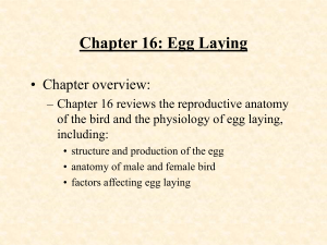 Chapter 16: Egg Laying • Chapter overview: