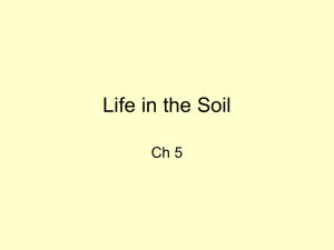 Life in the Soil Ch 5