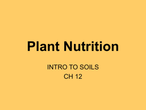 Plant Nutrition INTRO TO SOILS CH 12