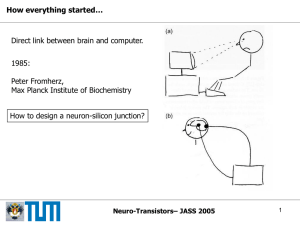 How everything started… Direct link between brain and computer. 1985: Peter Fromherz,