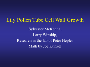 Lily Pollen Tube Cell Wall Growth Sylvester McKenna, Larry Winship,