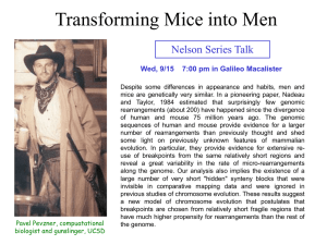 Transforming Mice into Men Nelson Series Talk