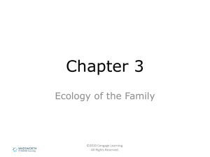 Chapter 3 Ecology of the Family ©2010 Cengage Learning. All Rights Reserved.