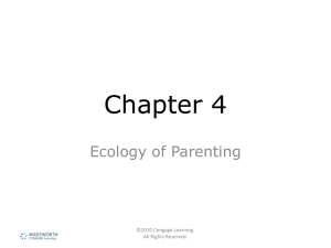 Chapter 4 Ecology of Parenting ©2010 Cengage Learning. All Rights Reserved.