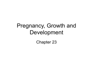Pregnancy, Growth and Development Chapter 23