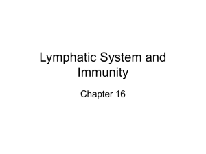 Lymphatic System and Immunity Chapter 16