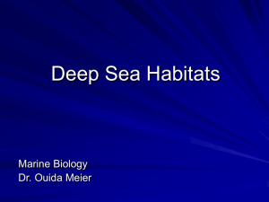 Deep Sea Habitats Marine Biology Dr. Ouida Meier