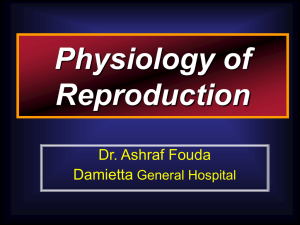Physiology of Reproduction Dr. Ashraf Fouda Damietta
