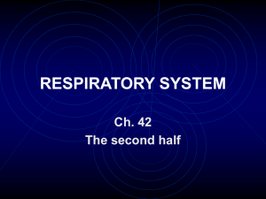 RESPIRATORY SYSTEM Ch. 42 The second half