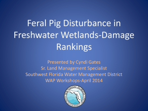 Feral Pig Disturbance in Freshwater Wetlands-Damage Rankings