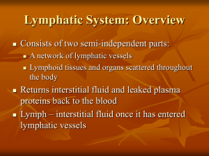 Lymphatic System: Overview