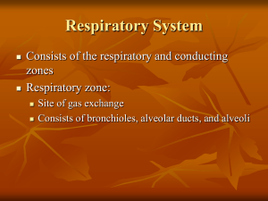 Respiratory System Consists of the respiratory and conducting zones Respiratory zone: