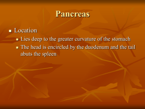 Pancreas Location