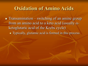 Oxidation of Amino Acids
