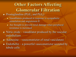Other Factors Affecting Glomerular Filtration Prostaglandins (PGE and PGI