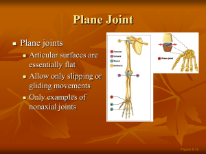 Plane Joint Plane joints