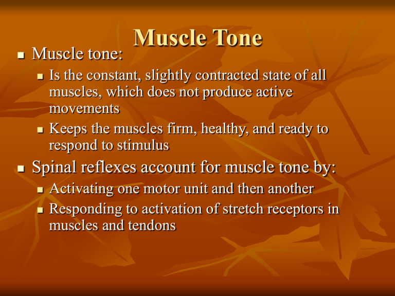 muscle-tone-muscle-tone