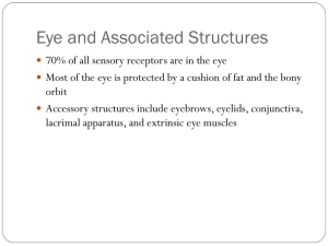 Eye and Associated Structures