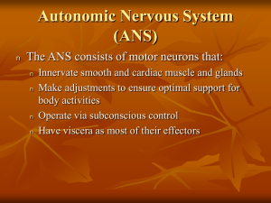 Autonomic Nervous System (ANS) The ANS consists of motor neurons that: