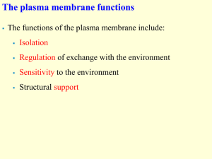 The plasma membrane functions