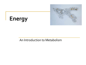 Energy An Introduction to Metabolism
