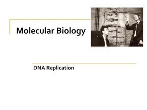 Molecular Biology DNA Replication