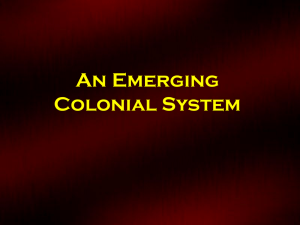 An Emerging Colonial System