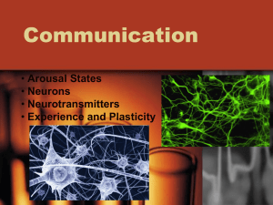 Communication Arousal States Neurons Neurotransmitters