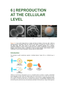 6 REPRODUCTION AT THE CELLULAR LEVEL