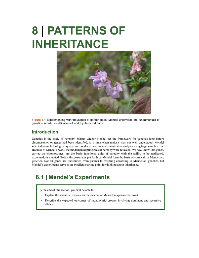 8 Patterns Of Inheritance