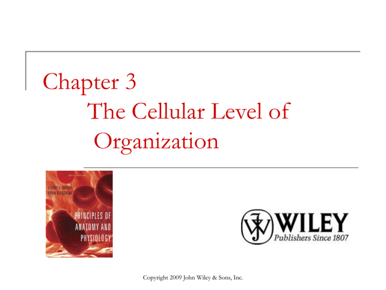 chapter-3-the-cellular-level-of-organization