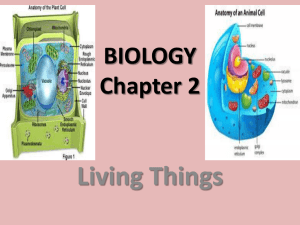 Living Things BIOLOGY Chapter 2