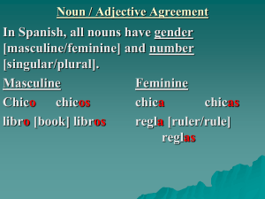 In Spanish, all nouns have gender [masculine/feminine] and number [singular/plural]. Masculine