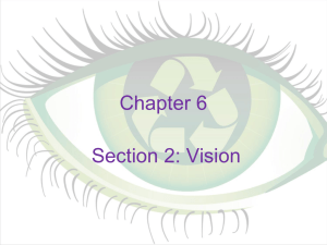 Chapter 6 Section 2: Vision
