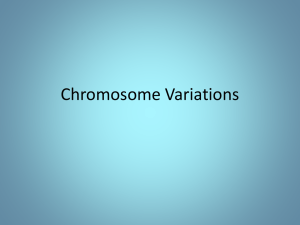 Chromosome Variations