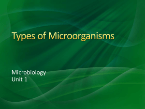 Microbiology Unit 1