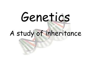 Genetics A study of inheritance