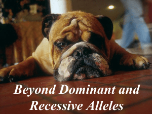 Beyond Dominant and Recessive Alleles