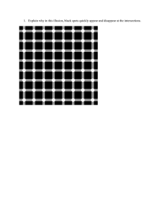 1.  Explain why in this illusion, black spots quickly...