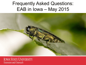Frequently Asked Questions: – May 2015 EAB in Iowa