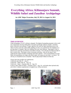 Everything Africa; Kilimanjaro Summit, Wildlife Safari and Zanzibar Archipelago TRIP OVERVIEW