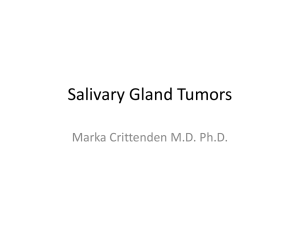 Salivary Gland Tumors Marka Crittenden M.D. Ph.D.