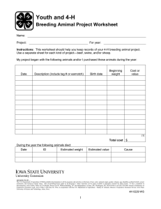 Youth and 4-H  Breeding Amimal Project Worksheet