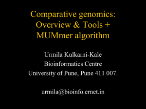 Comparative genomics: Overview &amp; Tools + MUMmer algorithm Urmila Kulkarni-Kale