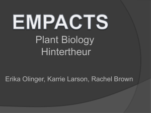 Plant Biology Hintertheur Erika Olinger, Karrie Larson, Rachel Brown